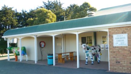 Cows by the front door of Ashgrove Cheese Factory