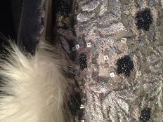 Close-up of silver dress & velvet coat
