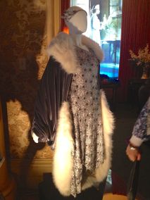 Silver dress & velvet coat