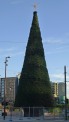 Adelaide's Christmas Tree during the day