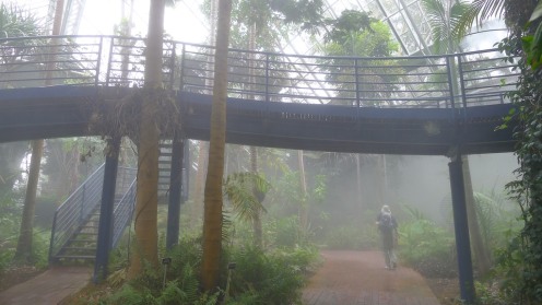 Raised and paved walkways through the Bicentennial Conservatory