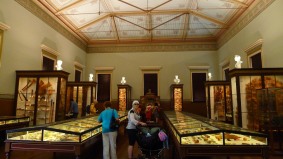 Most of the displays at the Museum of Economic Botany