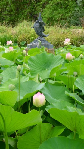 Sacred Lotus & statue at the Nelumbo Pond
