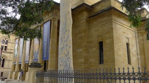 Adelaide Art Gallery - beautiful eucalyptus, beautiful limestone