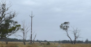 SA electrical poles - unfillled