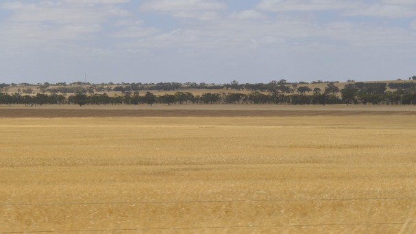 This is what they call The Wimmera