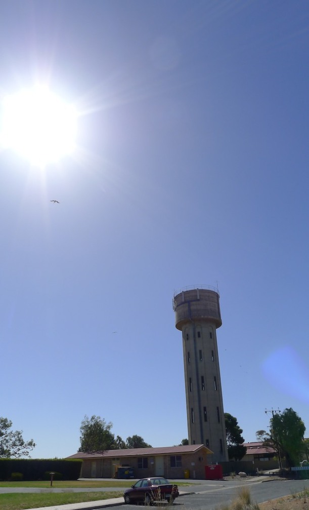 Water tower & Pelican at Tailem Bend