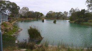Maggie's farm pond
