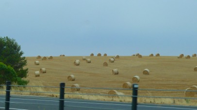 Lots of hay bales