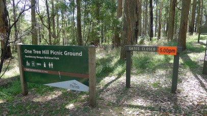 One Tree Hill Picnic Ground - there's also car parking outside the gate.