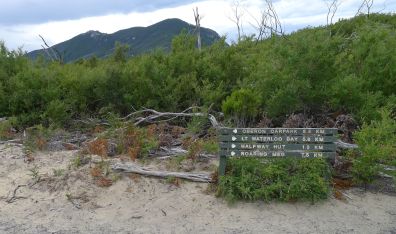 The sign on the opposite side of Telegraph Track where Oberon Bay Walking Track starts/ends