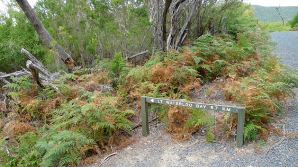 Sign 'D' next to (Little) Waterloo Bay Walking Track showing a small view south of Telegraph Track