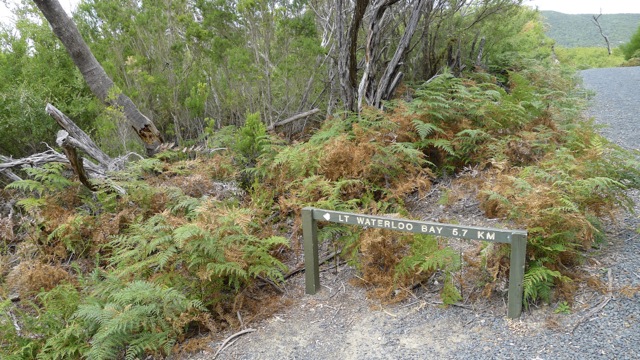Sign 'D' next to (Little) Waterloo Bay Walking Track showing a small view south of Telegraph Track