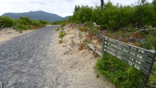 Sign 'B' opposite Oberon Bay Walking Track, showing view north along Telegraph Track