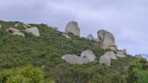 7/8 Realise that around the rocks are fully grown eucalyptus trees and you'll appreciate the size of these boulders