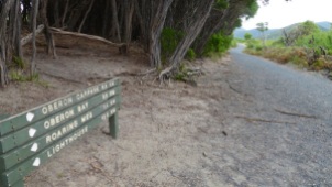 Sign 'C' opposite (Little) Waterloo Bay Walking Track, showing view north along Telegraph Track