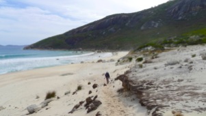 11/13 The path to Little Oberon Beach from the south