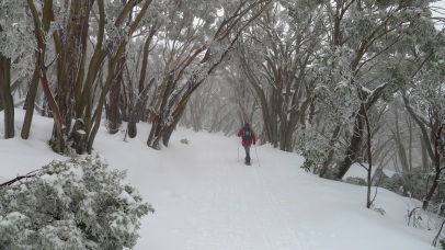 Snowshoeing through snow and ice covered snow gums is magical