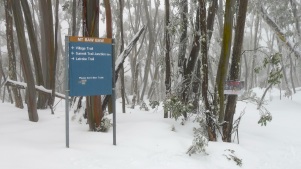 Trail sign (left) and Sled Tour caution sign (right)