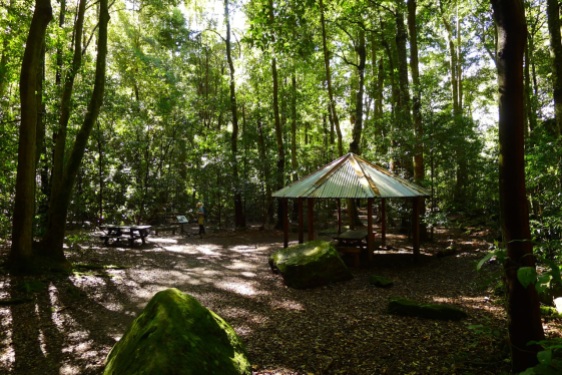 Leura Forest picnic area