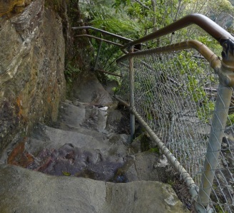 The stone steps are showing a bit of wear