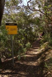 A reminder to engage your brain when bushwalking