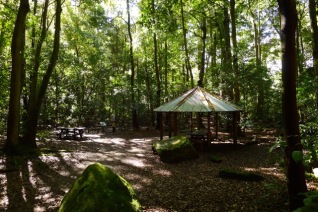 An unexpected but lovely picnic area in Leura Forest