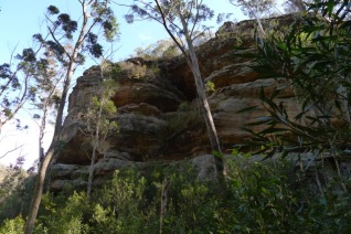 Emerging from the wet and ferny gully, we thought this was the Grand Canyon referred to in the title of the walk