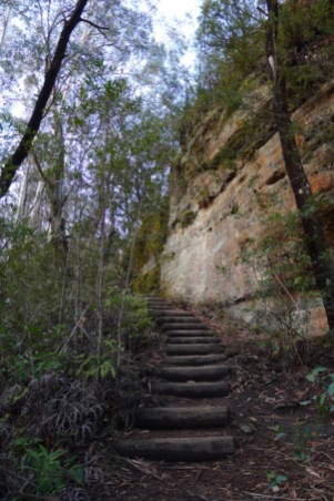 Evans Lookout would be just at the top of these steps...surely?