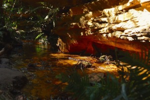 Sunlight reflecting off the creek gave a golden glow to the walls of the canyon