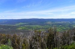 Above the treeline now, looking down to the Maroondah Highway from Razorback Track
