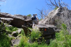 Following the track markers through the boulders along Razorback Track